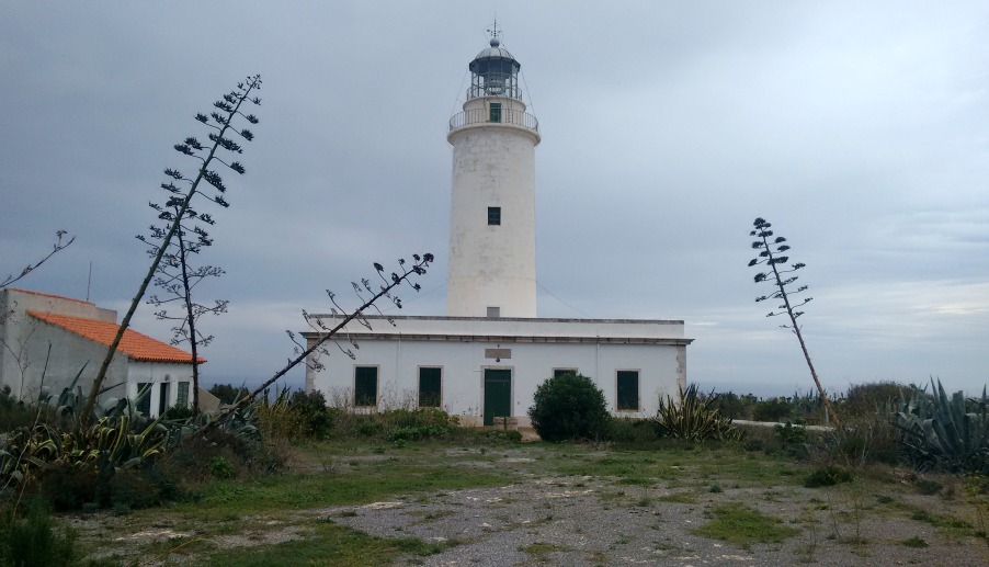 formentera2