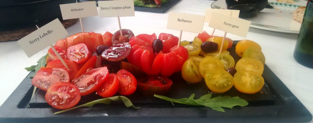Surtido de tomates
